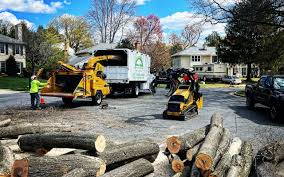 Best Seasonal Cleanup (Spring/Fall)  in Buna, TX