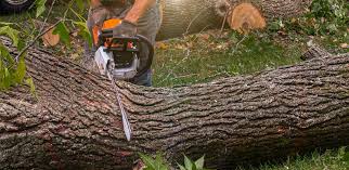 Best Aeration Services  in Buna, TX
