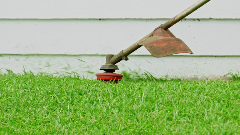 Best Lawn Watering Services  in Buna, TX