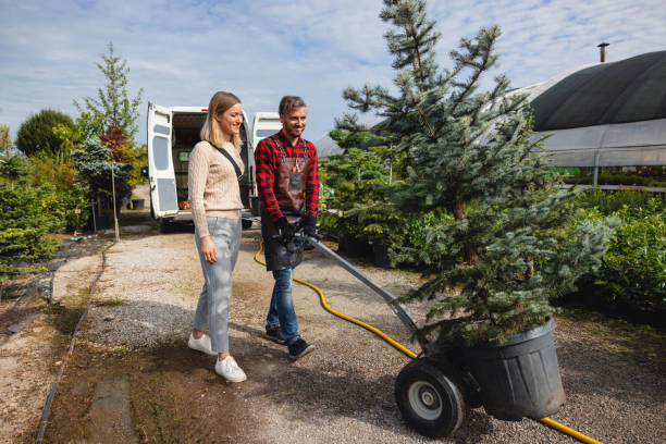 Best Fruit Tree Pruning  in Buna, TX